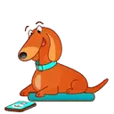 Стикер