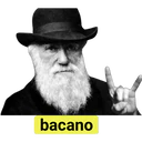 Samolepka