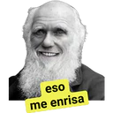 Samolepka