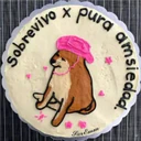 ਸਟਿਕਰ