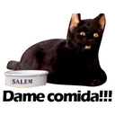 Стикер