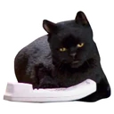 Стикер