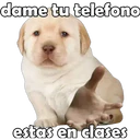 Naljepnica