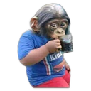 স্টিকার