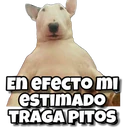 Samolepka