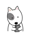 Nhãn dán