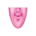ਸਟਿਕਰ