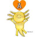 Adhesiu