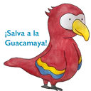 Adhesiu