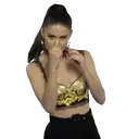 贴纸
