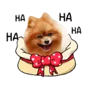 Stiker