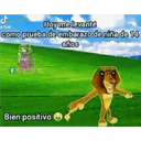ملصق