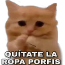 ملصق