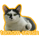 Stiker