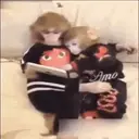 Autocollant