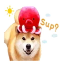Adhesiu