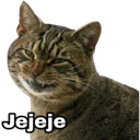 Naljepnica