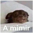 스티커