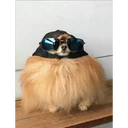 스티커