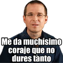 Samolepka