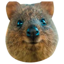 Klistermärke