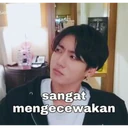 Stika