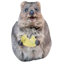 Klistermärke