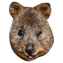 Klistermärke