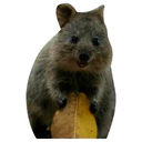 Klistermärke