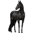 贴纸