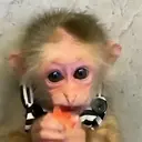 Çıkartma