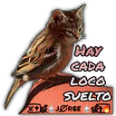 Stiker