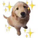 Стикер