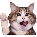 Stika
