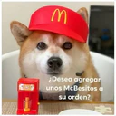 Stika