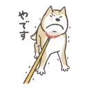 Stiker