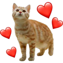Стикер