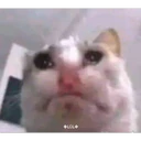 Stika