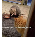 Naklejka