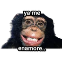 Límmiði