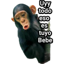 Límmiði