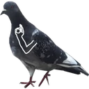 اسٹیکر