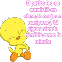 贴纸