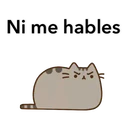 Ngjitës