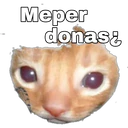 Pelekat