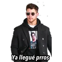 ملصق
