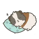 Adhesiu