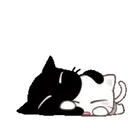 Adhesiu