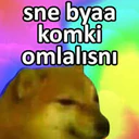 استیکر