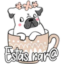 Stiker